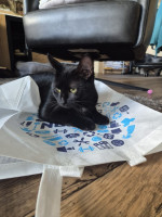 /album/29-10-2025/afbeelding-van-whatsapp-op-2025-10-26-om-12-28-52-a3ad90b1-jpg/